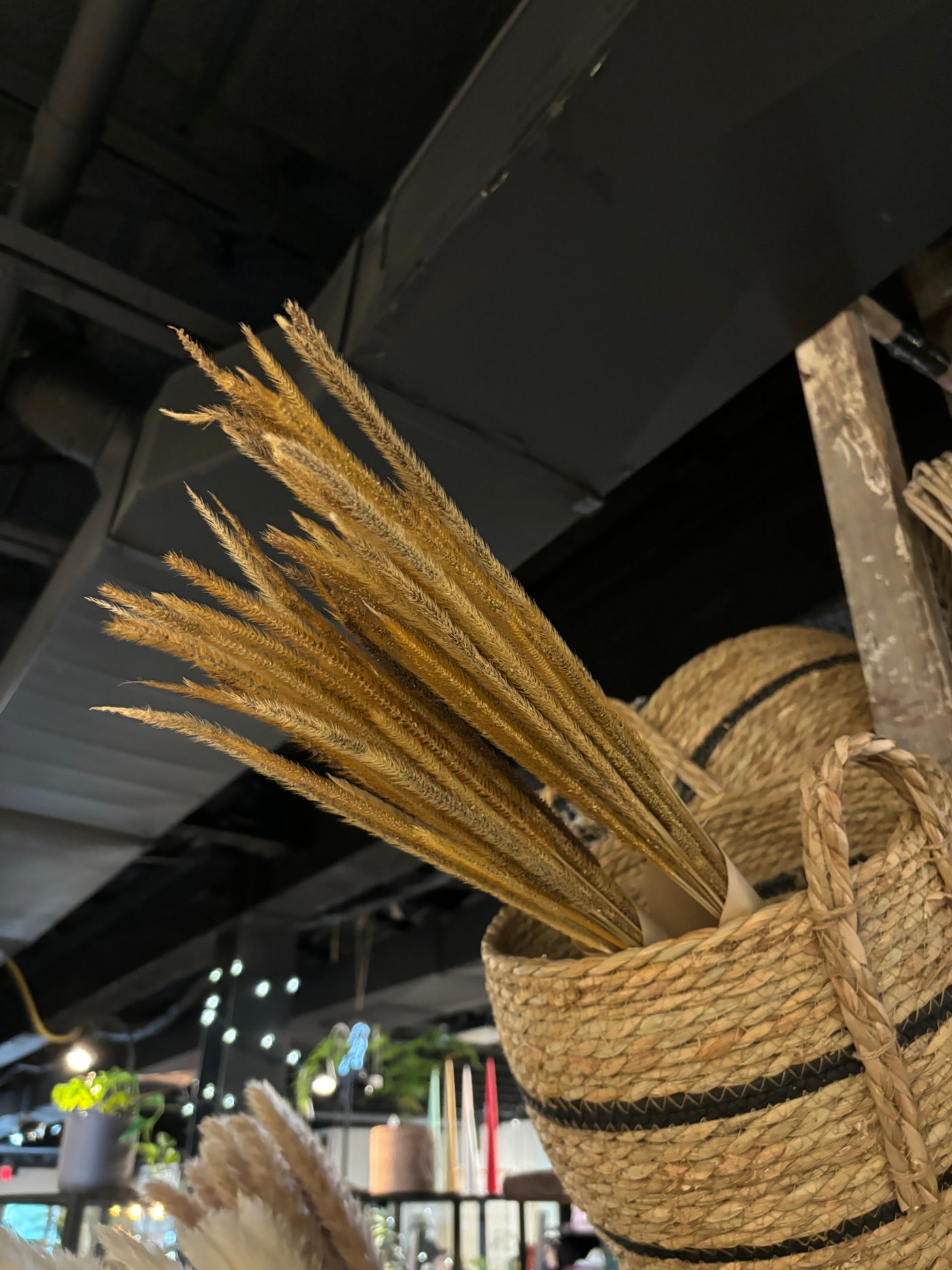 Dried Flowers from Baskets