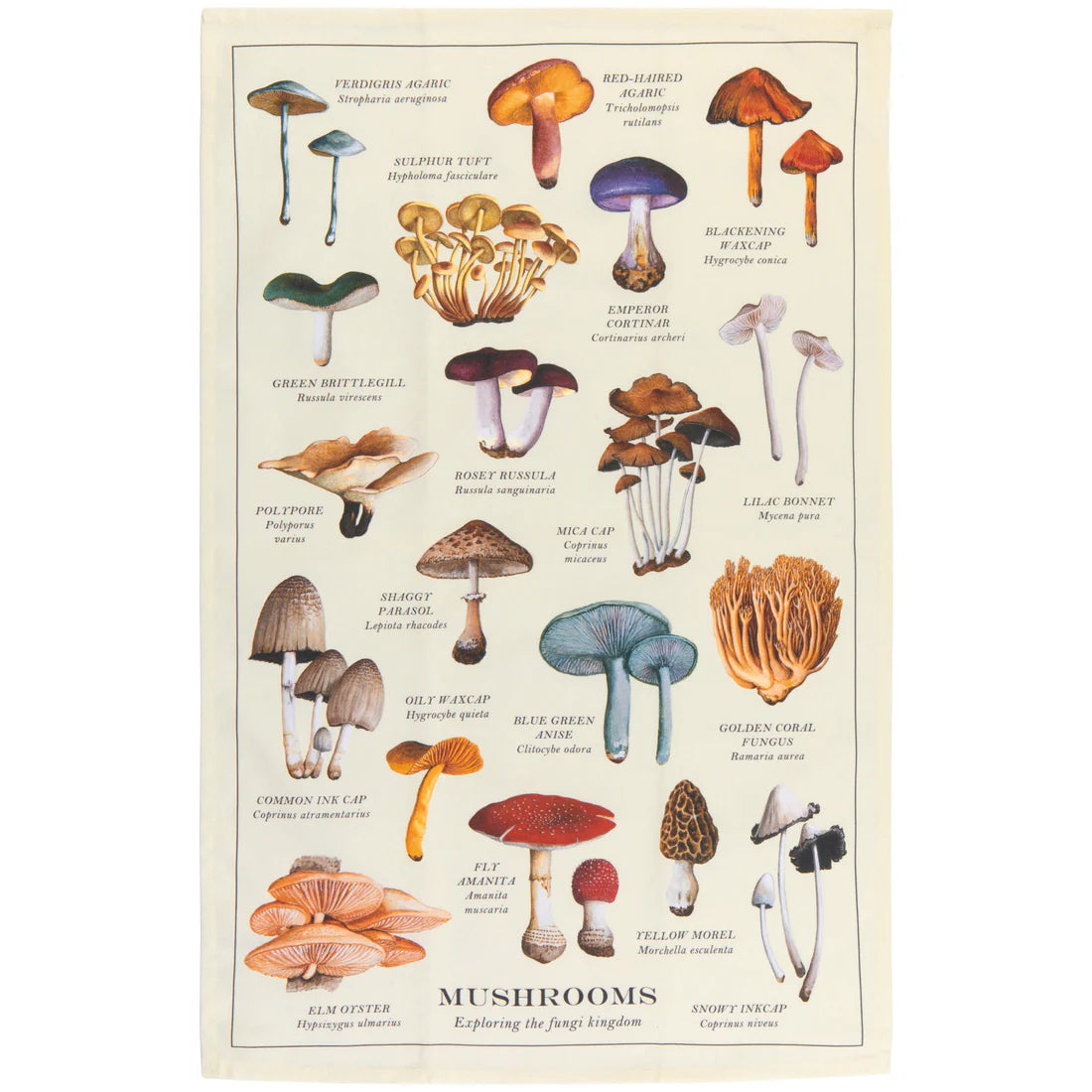 Danica | Mushroom Fine Print Dishtowel