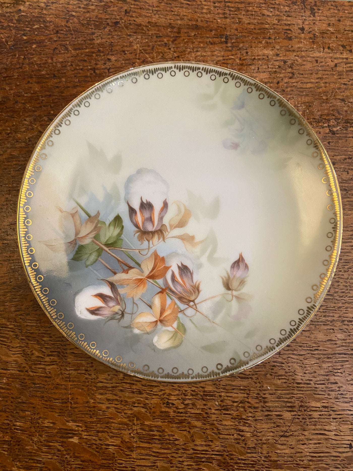 Antique 1910 Hand-Painted Tillowitz, Germany Tea Plates - Set of 4