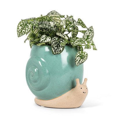 Abbott | Tall Snail Planter